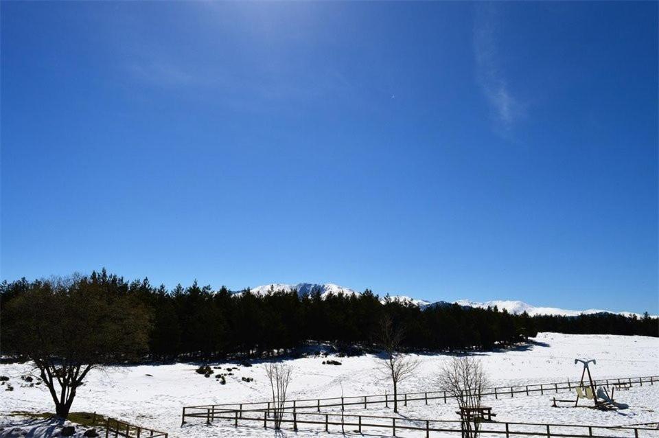 Apt Confortable Au Pied Des Pistes Et De La Foret Bolquere Ngoại thất bức ảnh