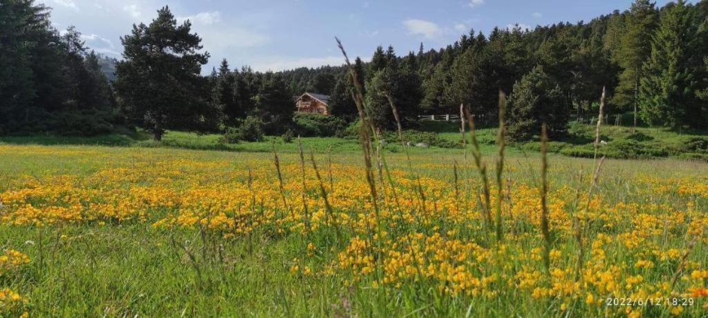 Apt Confortable Au Pied Des Pistes Et De La Foret Bolquere Ngoại thất bức ảnh