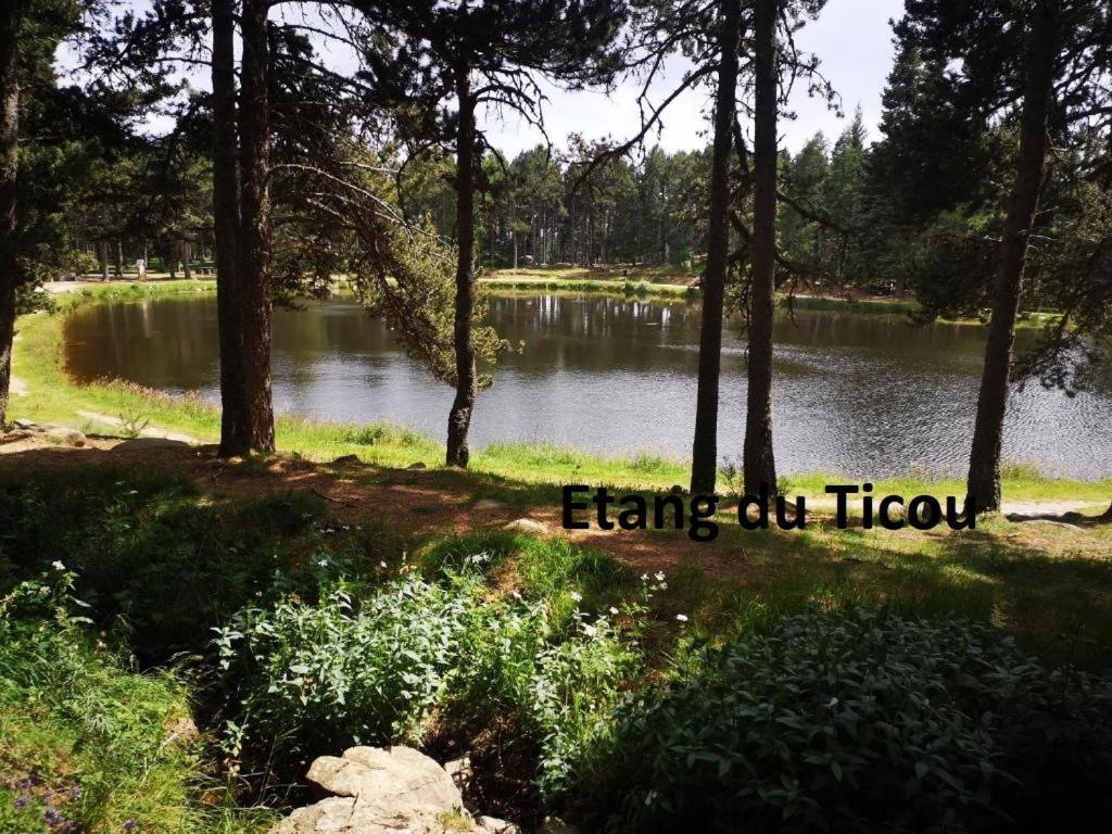 Apt Confortable Au Pied Des Pistes Et De La Foret Bolquere Ngoại thất bức ảnh