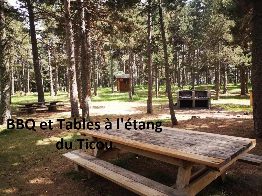 Apt Confortable Au Pied Des Pistes Et De La Foret Bolquere Ngoại thất bức ảnh